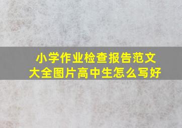 小学作业检查报告范文大全图片高中生怎么写好