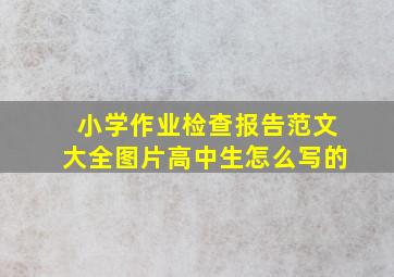 小学作业检查报告范文大全图片高中生怎么写的