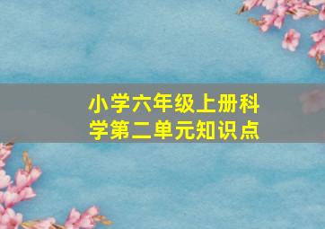 小学六年级上册科学第二单元知识点