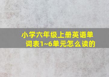 小学六年级上册英语单词表1~6单元怎么读的