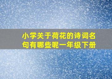 小学关于荷花的诗词名句有哪些呢一年级下册