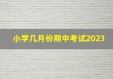 小学几月份期中考试2023