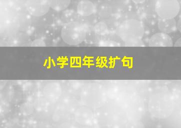 小学四年级扩句