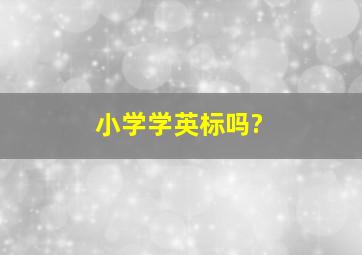 小学学英标吗?