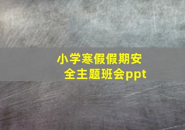 小学寒假假期安全主题班会ppt