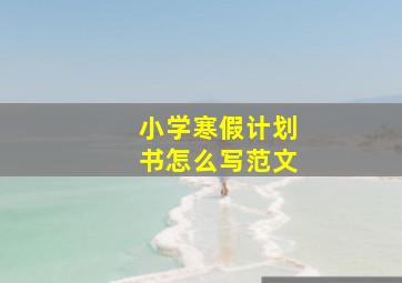 小学寒假计划书怎么写范文