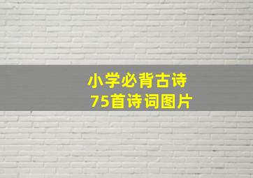 小学必背古诗75首诗词图片