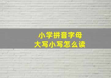 小学拼音字母大写小写怎么读