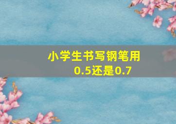 小学生书写钢笔用0.5还是0.7