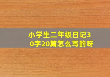 小学生二年级日记30字20篇怎么写的呀