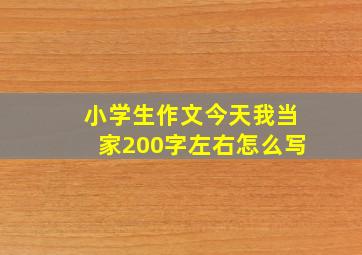 小学生作文今天我当家200字左右怎么写