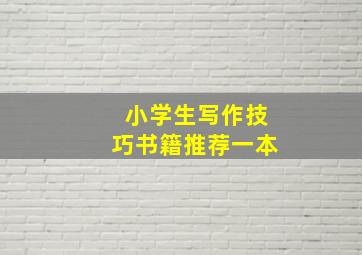 小学生写作技巧书籍推荐一本