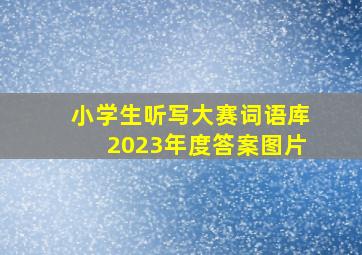 小学生听写大赛词语库2023年度答案图片