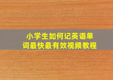 小学生如何记英语单词最快最有效视频教程