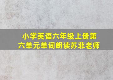 小学英语六年级上册第六单元单词朗读苏菲老师