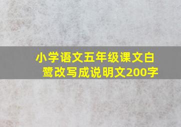 小学语文五年级课文白鹭改写成说明文200字