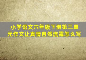 小学语文六年级下册第三单元作文让真情自然流露怎么写