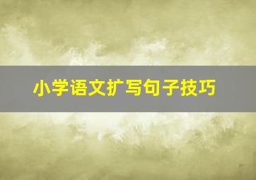 小学语文扩写句子技巧