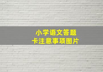 小学语文答题卡注意事项图片