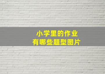 小学里的作业有哪些题型图片