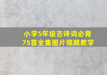 小学5年级古诗词必背75首全集图片视频教学