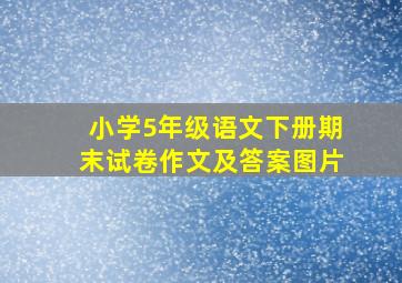 小学5年级语文下册期末试卷作文及答案图片