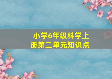 小学6年级科学上册第二单元知识点