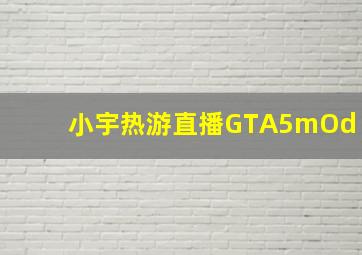 小宇热游直播GTA5mOd