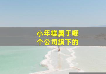 小年糕属于哪个公司旗下的