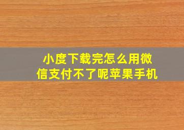 小度下载完怎么用微信支付不了呢苹果手机