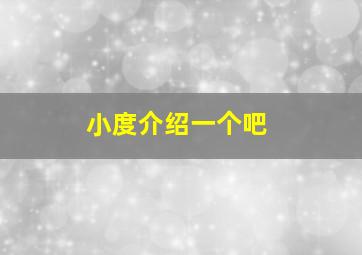 小度介绍一个吧