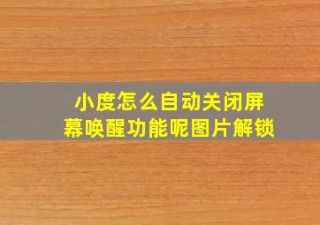 小度怎么自动关闭屏幕唤醒功能呢图片解锁