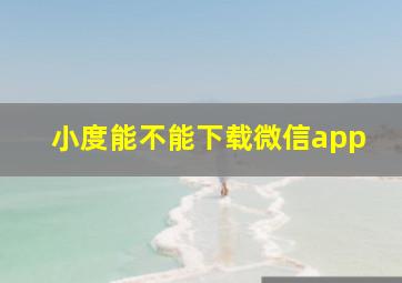 小度能不能下载微信app