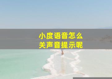 小度语音怎么关声音提示呢