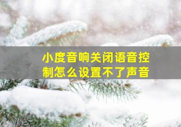 小度音响关闭语音控制怎么设置不了声音