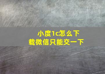 小度1c怎么下载微信只能交一下