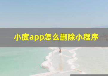 小度app怎么删除小程序