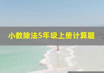 小数除法5年级上册计算题