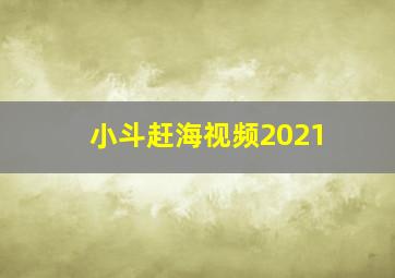 小斗赶海视频2021