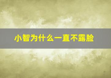 小智为什么一直不露脸