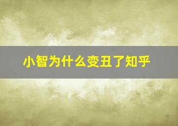 小智为什么变丑了知乎