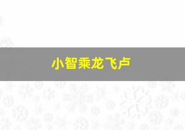 小智乘龙飞卢