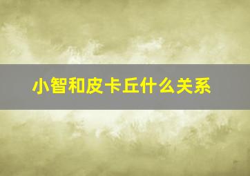 小智和皮卡丘什么关系