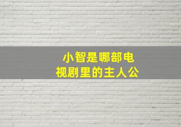 小智是哪部电视剧里的主人公