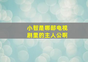 小智是哪部电视剧里的主人公啊