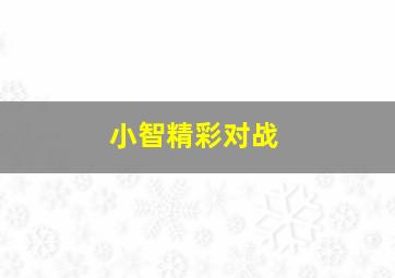 小智精彩对战