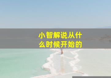 小智解说从什么时候开始的