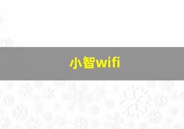 小智wifi