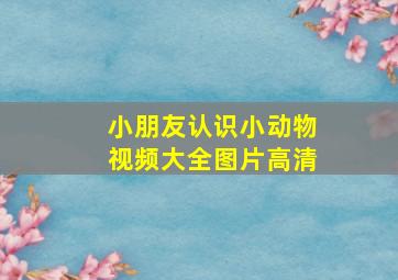 小朋友认识小动物视频大全图片高清