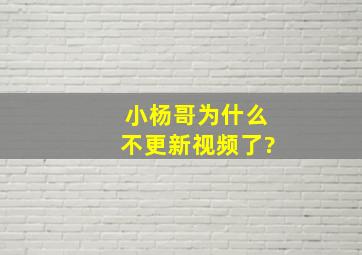 小杨哥为什么不更新视频了?